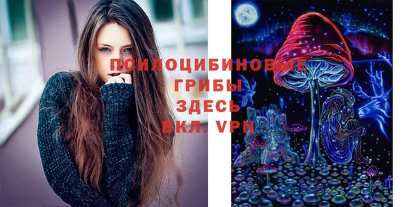 герыч Ступино