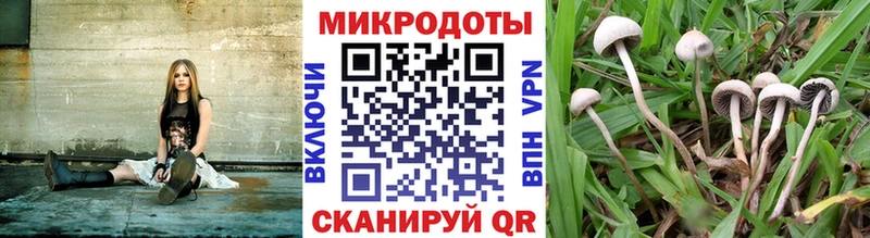 Галлюциногенные грибы MAGIC MUSHROOMS Верхотурье